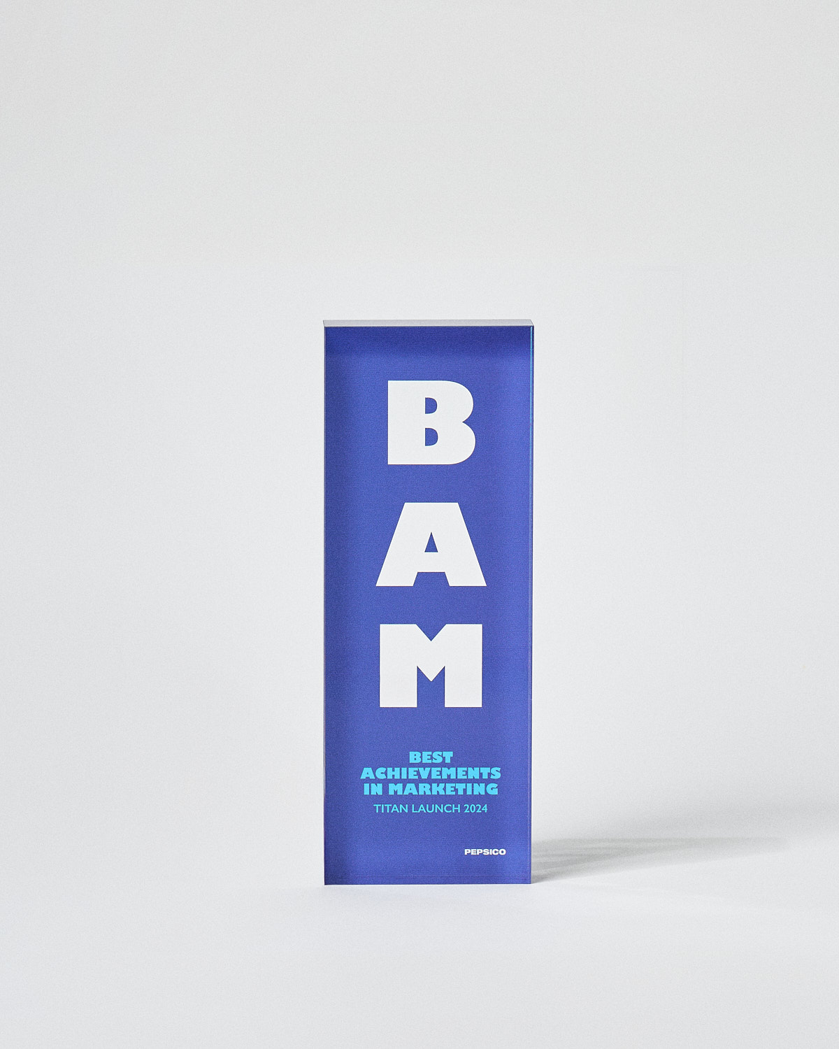 Troph&eacute;e en plexiglas personnalis&eacute; BAM Sustain Awards